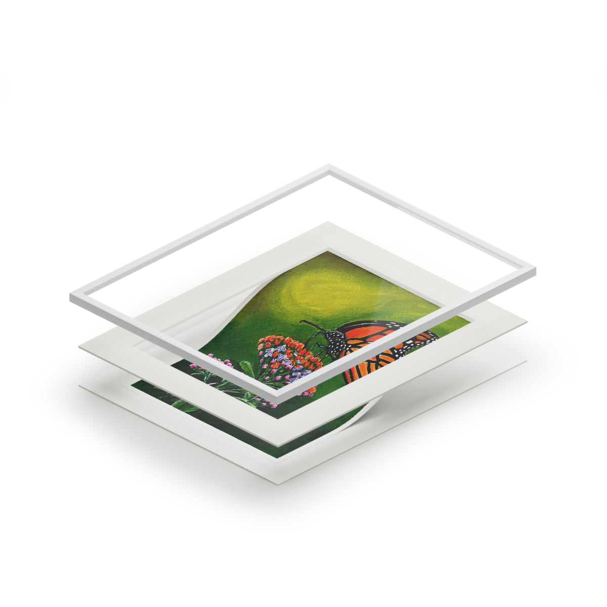 Monarch Butterfly Fine Art Print with Passepartout Frame
