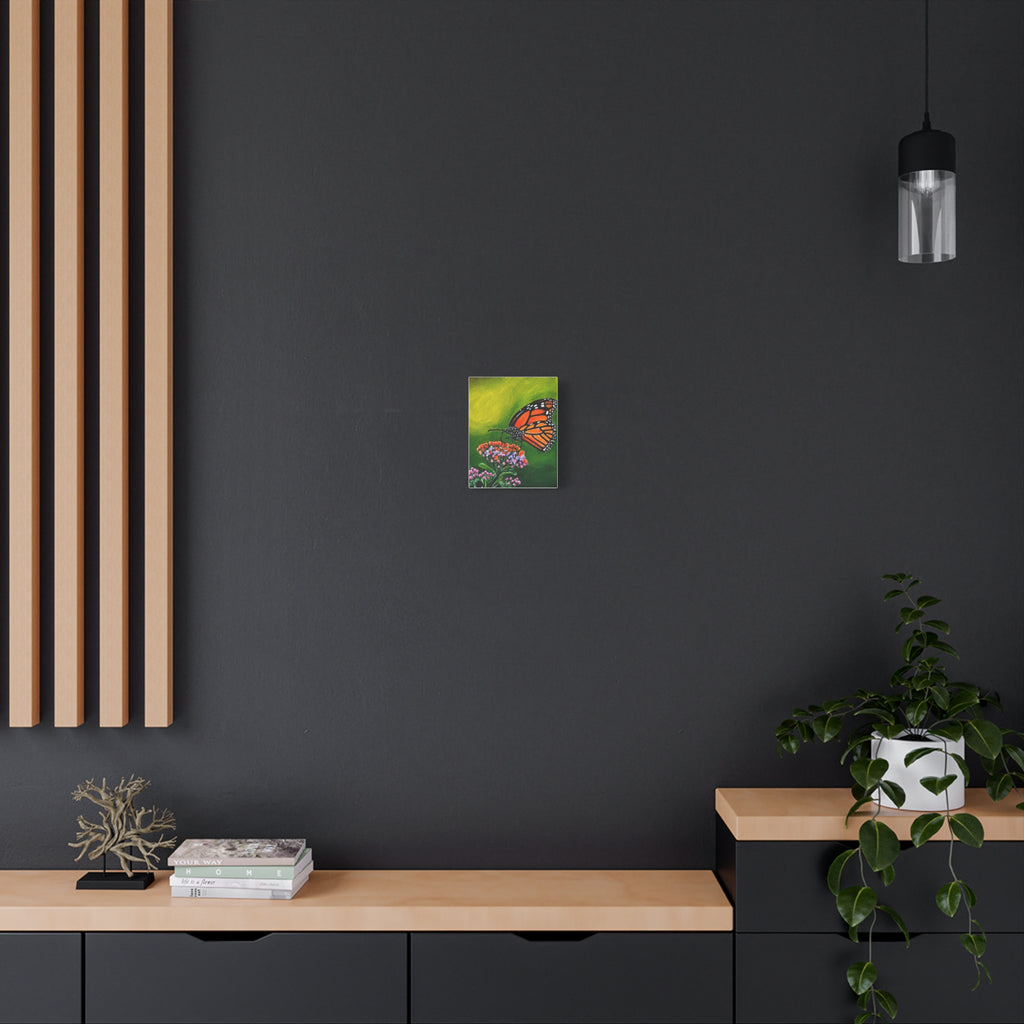 Monarch Butterfly Stretched Canvas