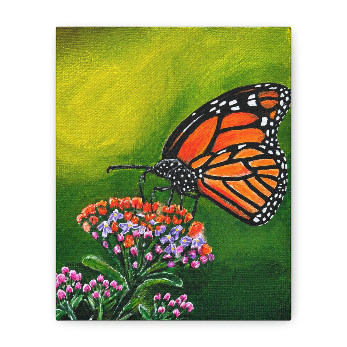 Monarch Butterfly Stretched Canvas