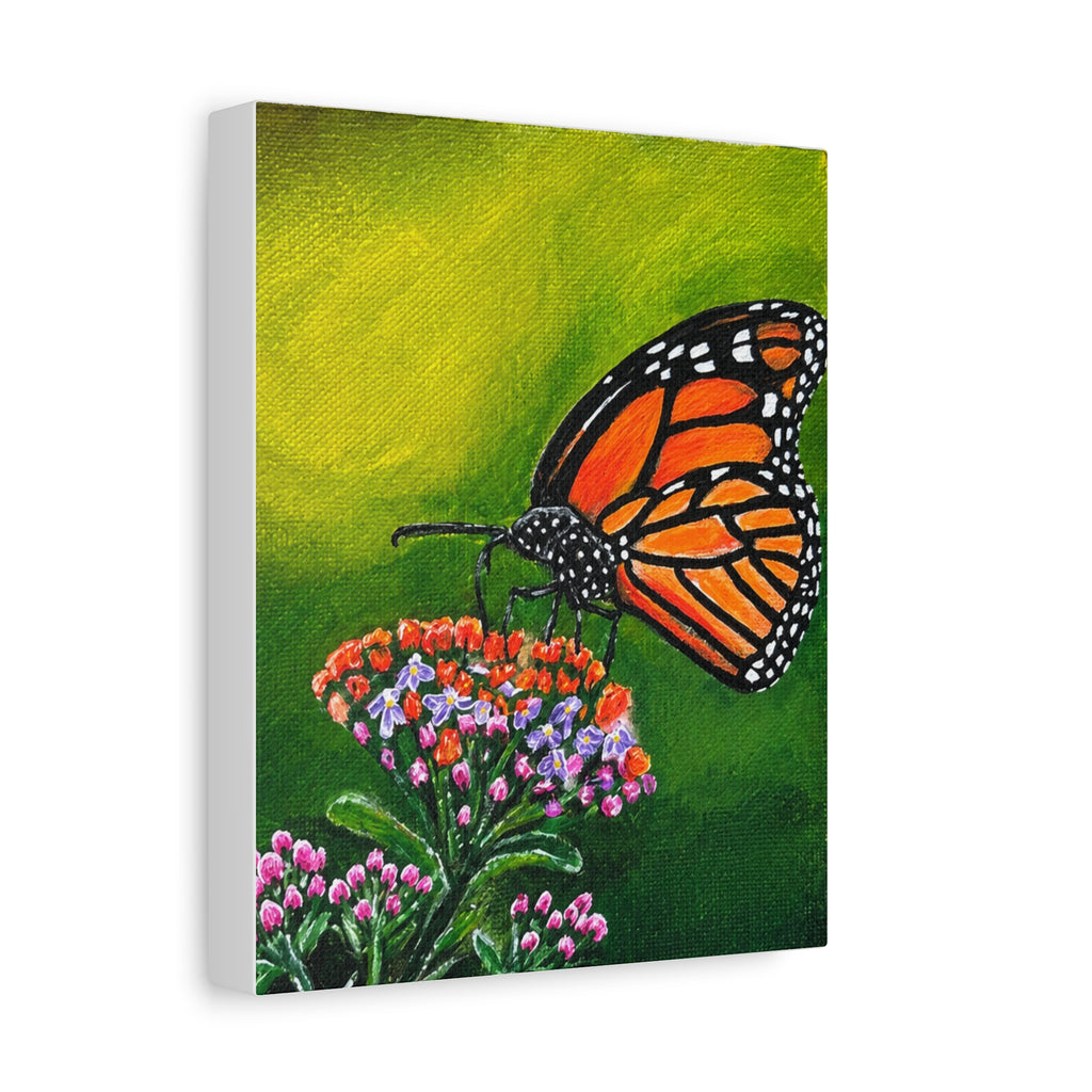 Monarch Butterfly Stretched Canvas